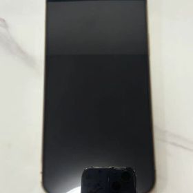 極美品 iPhone13ProMax 256GB ゴールド デュアルSiM