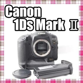 ✨お買い得価格✨状態並✨Canon EOS-1Ds Mark Ⅱ ボディ
