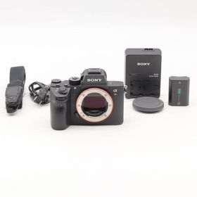 SONY α7RIII ボディ ILCE-7RM3 ショット数 2397回