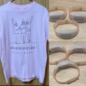 清春ハーモニーズTシャツMサイズ&ライトどれか１つ+チラシ