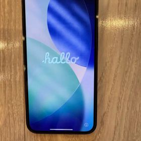 Apple iPhone 13 Pro グラファイト 本体 256GB