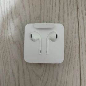 Apple EarPods with Lightning Connector