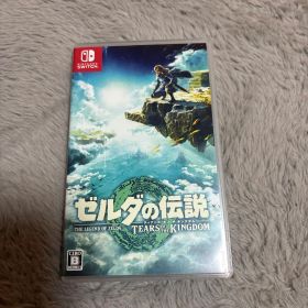 ゼルダの伝説 ティアーズ オブ ザ キングダム
