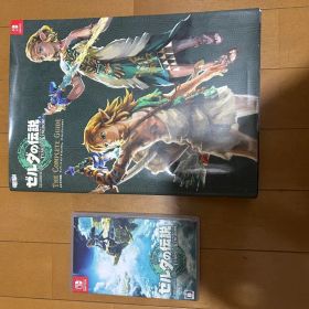 ゼルダの伝説 ティアーズ オブ ザ キングダム