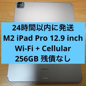 iPad Pro 12.9インチ 第6世代 256GB セルラー