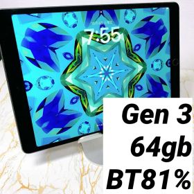 Apple iPad Air 10.5 (2019年、第3世代) 新品¥18,600 中古¥15,000