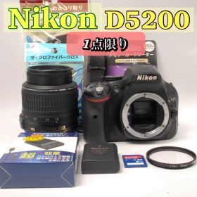 ✨1点限り✨Nikon D5200 自撮り撮影◎ 手ぶれ補正 バリアングル液晶