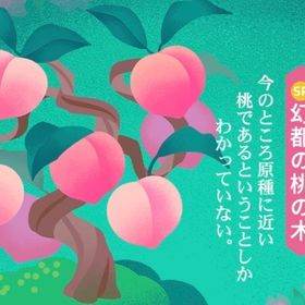 幻都の桃の島🍑 島フルセット | リヴリーアイランドのアイテム、RMTの販売・買取一覧