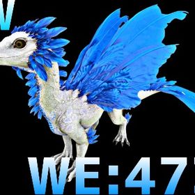 RARE SUPPORT 重量特化ドレイクリング | ARK Survival Evolvedのアカウントデータ、RMTの販売・買取一覧