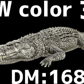 RARE SUPPORT デイノニクス36 | ARK Survival Evolvedのアカウントデータ、RMTの販売・買取一覧