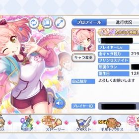 ※特別値下げ！ プリコネ 廃課金引退垢 プレイ継続中 | プリンセスコネクト(プリコネR)のアカウントデータ、RMTの販売・買取一覧