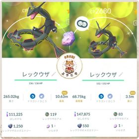 (アカウント-非対面トレード)✨色違いレックウザXXL&XXS✨11月のキラチャーム指定可能🉑 | ポケモンGOのアカウントデータ、RMTの販売・買取一覧