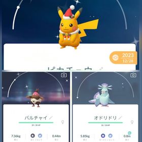⭐️PTC⭐️国産⭐️色違いクリスマスピカチュウ | ポケモンGOのアカウントデータ、RMTの販売・買取一覧