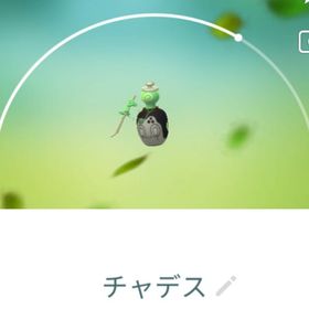 9343【PTC】国産！チャデス マガイモノ12匹 | ポケモンGOのアカウントデータ、RMTの販売・買取一覧