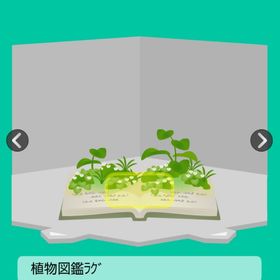 植物図鑑ラグ キャラ連動 | スペースデブリーズのアカウントデータ、RMTの販売・買取一覧