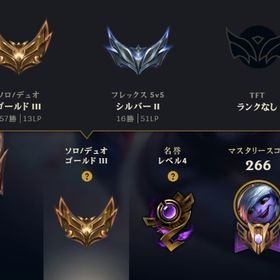 g3 引退垢 メアパス変更可能 valo Skin | LoL(リーグオブレジェンド)のアカウントデータ、RMTの販売・買取一覧
