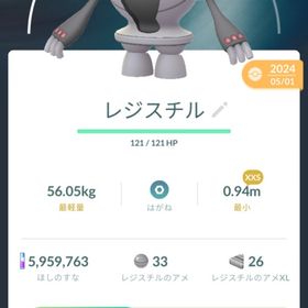 親名指定可能 XXSレジスチル | ポケモンSV(スカーレットバイオレット)のアイテム、RMTの販売・買取一覧