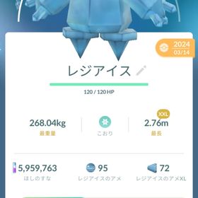 親名指定可能 XXLレジアイス | ポケモンSV(スカーレットバイオレット)のアイテム、RMTの販売・買取一覧