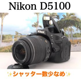 ✨初心者おすすめ✨Nikon D5100 レンズセット 動作良好 回転式液晶