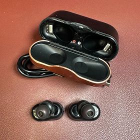 ソニー SONY ワイヤレスイヤホン WF-1000XM3 0530