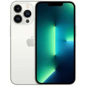 iPhone13 Pro[256GB] docomo シルバー【安心保証】