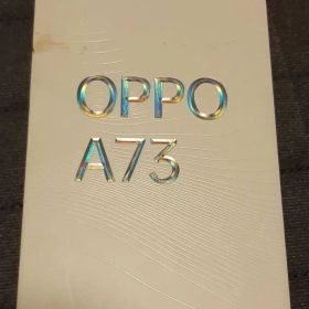 OPPO A73 本体