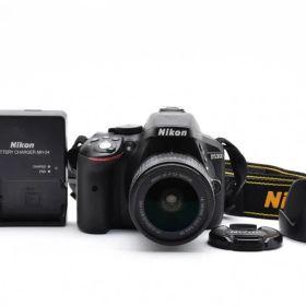 Nikon D5300 AF-P 18-55 VRキット