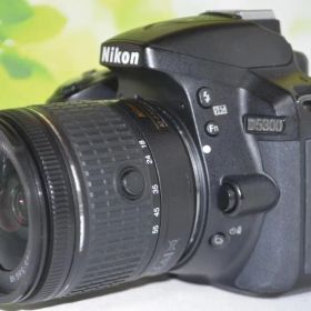 S数1万回以下⭐︎WiFi機能付☆Nikon D5300☆一眼レフ