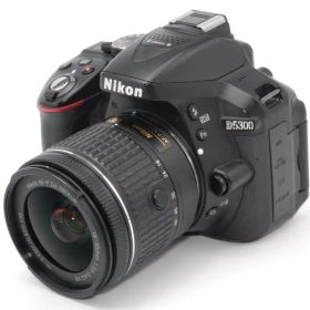 Nikon D5300 AF-P VR レンズキット シャッター数 約3000回