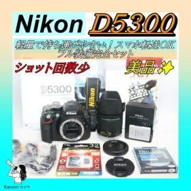 美品⭐フル装備キット⭐運動会・紅葉！ Nikon D5300 ⭐一眼レフ 高画質
