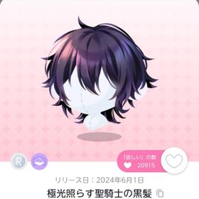 値下げ中 極光照らす聖騎士の黒髪 1点 | ポケコロツイン(ポケツイ)のアカウントデータ、RMTの販売・買取一覧