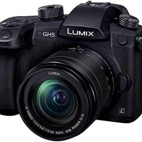 パナソニック ミラーレス一眼カメラ ルミックス GH5 レンズキット 標準ズームレンズ付属 ブラック DC-GH5M-K
