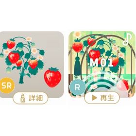 苺盆栽を愛でる島 2点セット | リヴリーアイランドのアイテム、RMTの販売・買取一覧