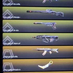 引退垢 人気スキン多数 | VALORANT(ヴァロラント)のアカウントデータ、RMTの販売・買取一覧