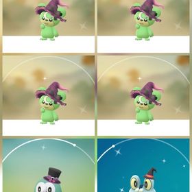 81⭐️PTC⭐️国産⭐️色違いヒメグマ4匹 | ポケモンGOのアカウントデータ、RMTの販売・買取一覧