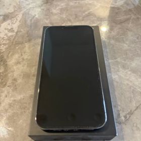 Apple iPhone 13 Pro グラファイト