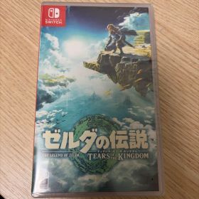 ゼルダの伝説 ティアーズ オブ ザ キングダム