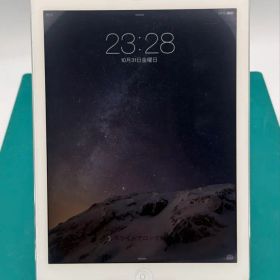 Apple iPad Air MD794J/A