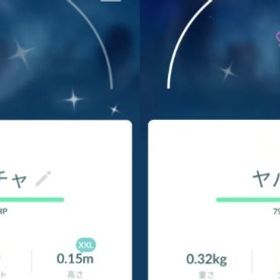 7954【PTC】在庫処分！色違いヤバチャXXL がんさくフォルム2匹 | ポケモンGOのアカウントデータ、RMTの販売・買取一覧