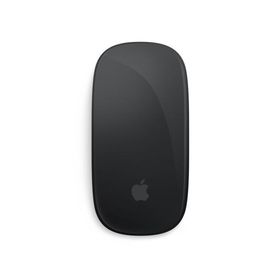 Apple Magic Mouse MXK63ZA/A [ブラック]【お取り寄せ（２週から３週間程度での入荷、発送）】（2100000016935）
