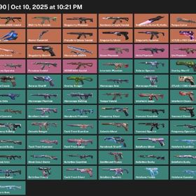 チャンピョン2025 ヴァンダル カオスヴァンダル | VALORANT(ヴァロラント)のアカウントデータ、RMTの販売・買取一覧