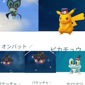 9416【PTC】在庫処分！国産色違いオンバット（カチューシャ）色違いピカチュウ（いたずら帽子）他 | ポケモンGOのアカウントデータ、RMTの販売・買取一覧