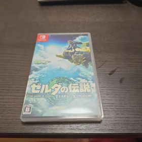 ゼルダの伝説 ティアーズ オブ ザ キングダム