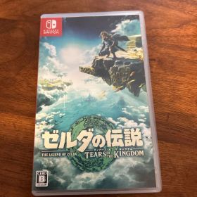 ゼルダの伝説 ティアーズ オブ ザ キングダム