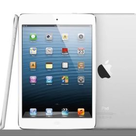 iPad mini WiFiモデル 64G MD530J/A ブラック&スレート