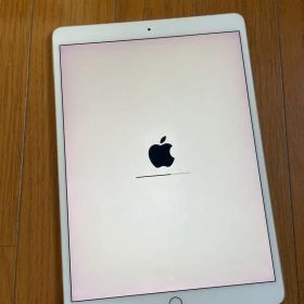 IPad Pro 10.5インチ ジャンク