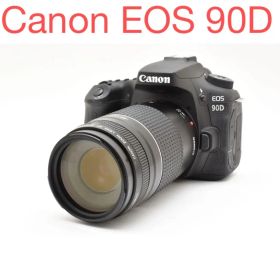 保証付き/一眼レフカメラ Canon EOS 90D標準レンズセット