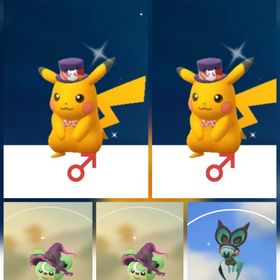 1559⭐️PTC⭐️国産⭐️色違いピカチュウ♂2匹、ヒメグマ、オンバット | ポケモンGOのアカウントデータ、RMTの販売・買取一覧