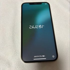 正規購入！Apple iPhone 12 Pro MAX 256GB ゴールド