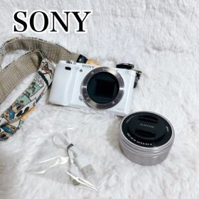 【美品】SONY α6000 ボディILCE-6000 ホワイト